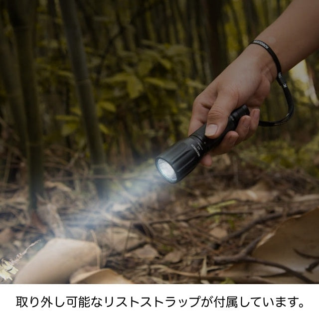 NEXTORCH C3 Flashlight [Flashlight using 3 AAA batteries] [Letter Pack Plus compatible]