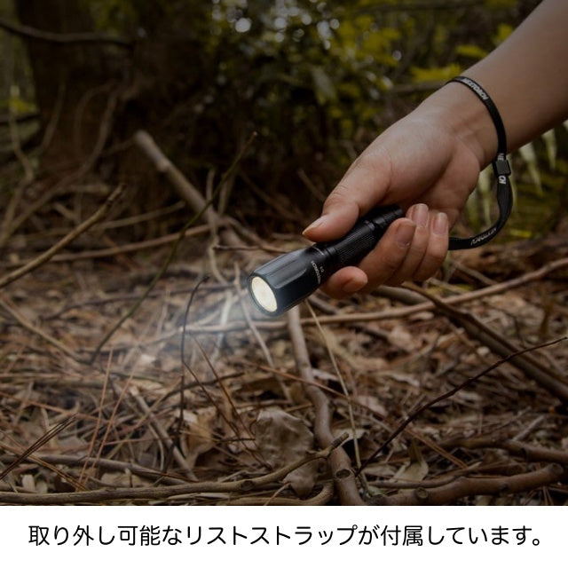 NEXTORCH C1 Flashlight [Flashlight using 1 AA battery] [Supports Letter Pack Plus]