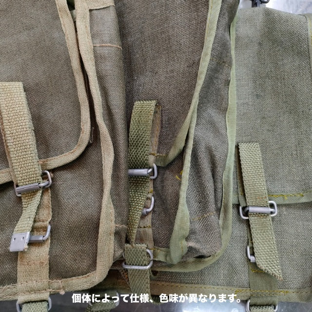 World Surplus Polish Military Canvas Haversack [With genuine US military shoulder strap] [Miscellaneous bag]