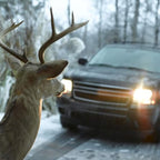 BELL（ベル） Deer Warning Black ディアワーニング [鹿避け笛][野生動物との衝突リスク低減]【レターパックプラス対応】