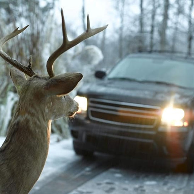 BELL（ベル） Deer Warning Black ディアワーニング [鹿避け笛][野生動物との衝突回避]【レターパックプラス対応】