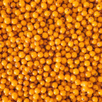 NOVA SCOTIA FISHERMAN Salt-N-Sea Body Scrub