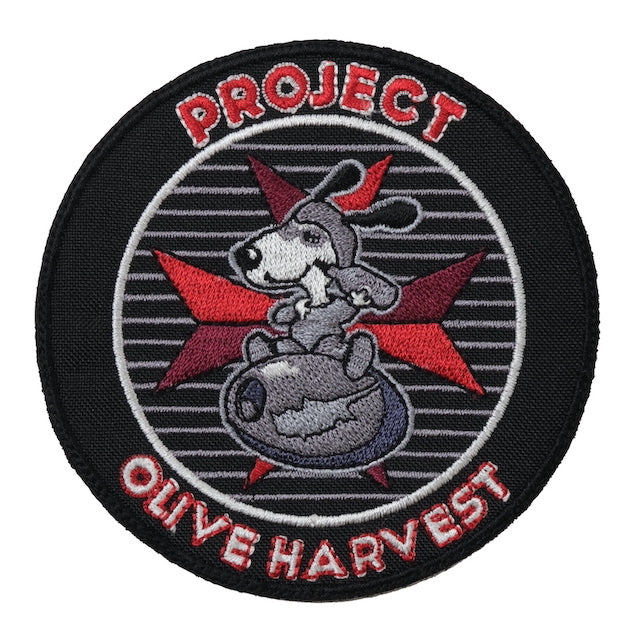 Military Patch（ミリタリーパッチ）99TH RECONNAISSANCE SQUADRON 3枚セット [フック付き]【レターパックプラス対応】【レターパックライト対応】