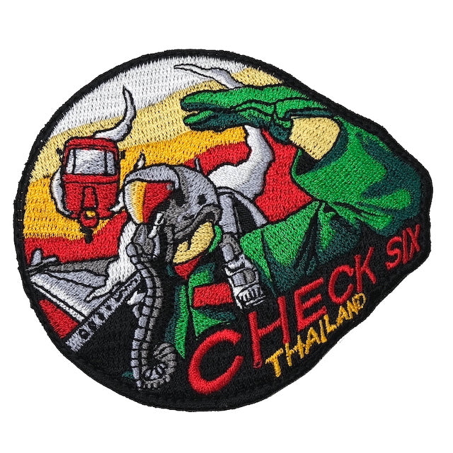 Military Patch（ミリタリーパッチ）36th FS CHECK SIX  [フック付き]【レターパックプラス対応】【レターパックライト対応】