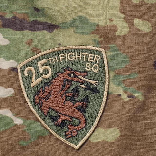 Military Patch（ミリタリーパッチ）25TH FIGHTER SQ パッチ [スパイスブラウン] [フック付き]【レターパックプラス対応】【レターパックライト対応】