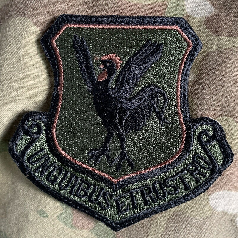 Military Patch（ミリタリーパッチ）18th Wing OCP スパイスブラウン [フック付き]【レターパックプラス対応】【レターパックライト対応】