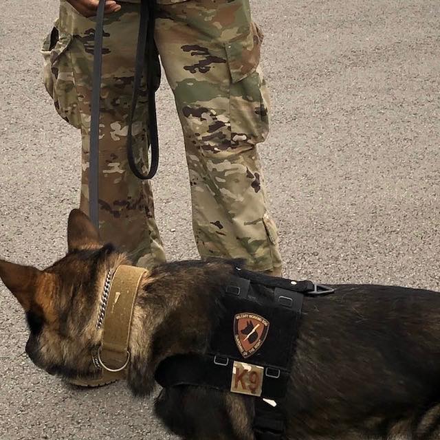Military Patch（ミリタリーパッチ）シールド型 MILITARY WORKING DOG スパイスブラウン OCP [フック付き]【レターパックプラス対応】【レターパックライト対応】