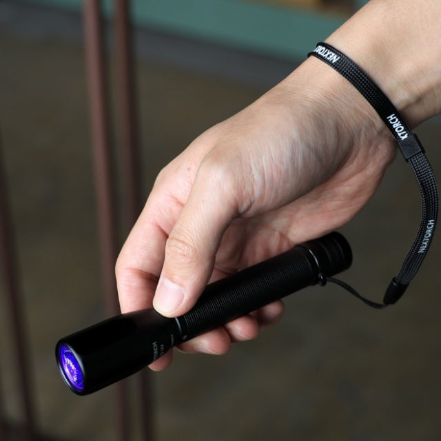 NEXTORCH C2 UV Flashlight [550mW Ultraviolet (UV-405nm) Flashlight] [Letter Pack Plus compatible]