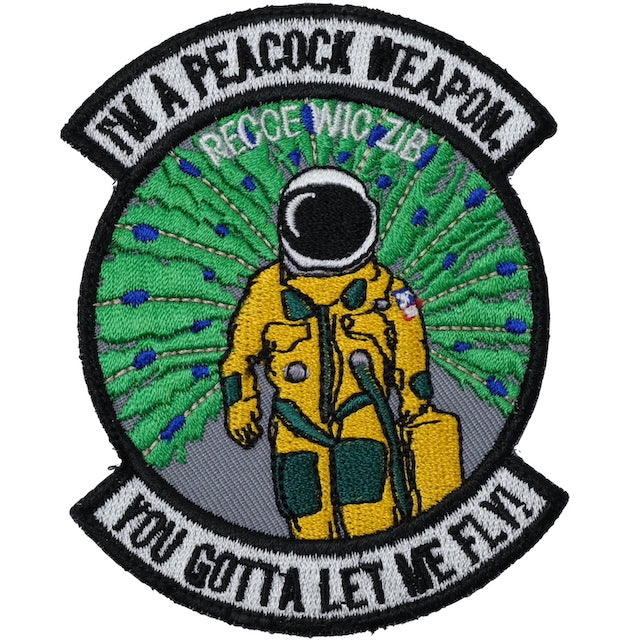 Military Patch（ミリタリーパッチ）5TH RS RECCE WIC 21B パッチ [フック付き]【レターパックプラス対応】【レターパックライト対応】