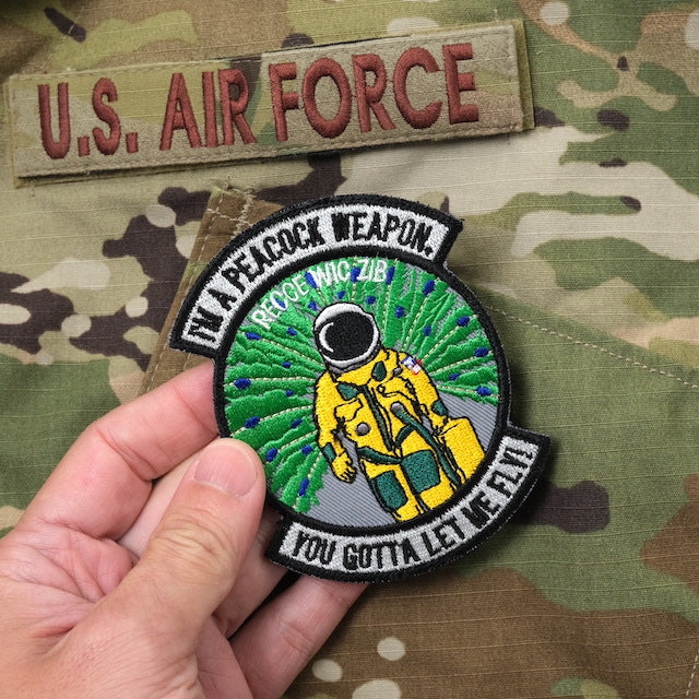 Military Patch 5TH RS RECCE WIC 21B patch [with hook] [Letter Pack Plus compatible] [Letter Pack Light compatible]